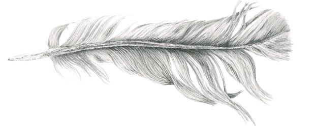Louisa-Crispin-Feather-I.jpg
